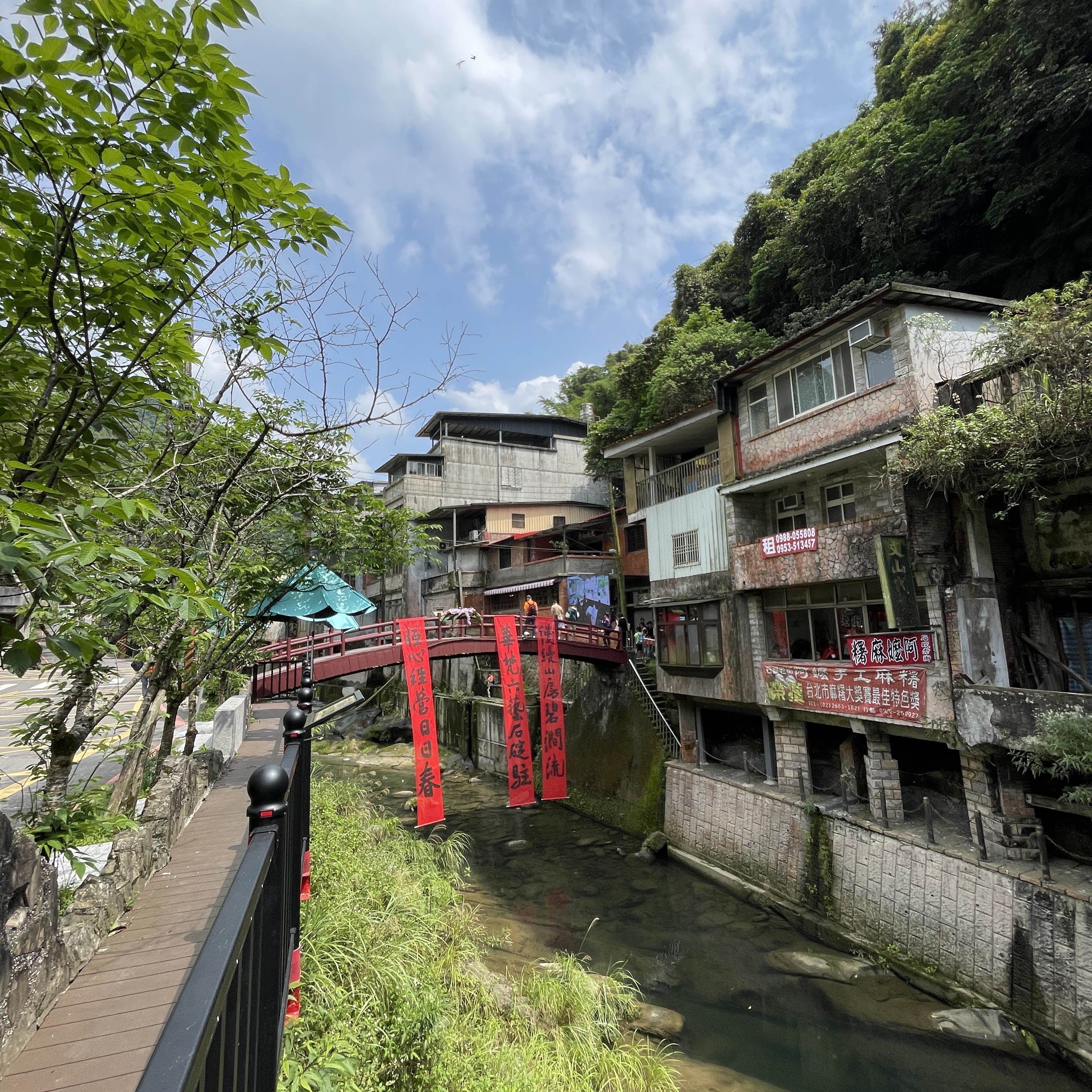 茶園風景